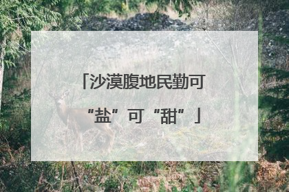 沙漠腹地民勤可“盐”可“甜”