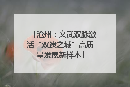 沧州：文武双脉激活“双遗之城”高质量发展新样本