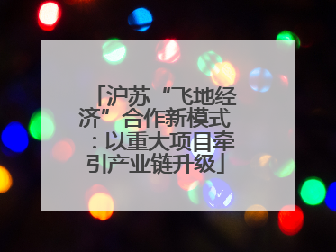 沪苏“飞地经济”合作新模式：以重大项目牵引产业链升级