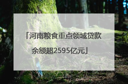 河南粮食重点领域贷款余额超2595亿元