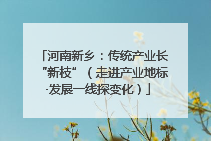 河南新乡：传统产业长“新枝”（走进产业地标·发展一线探变化）