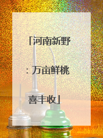 河南新野：万亩鲜桃喜丰收