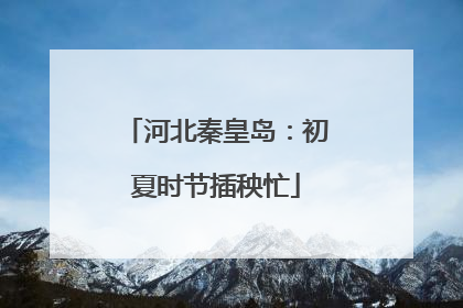 河北秦皇岛：初夏时节插秧忙