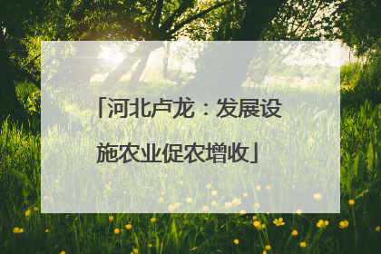 河北卢龙：发展设施农业促农增收