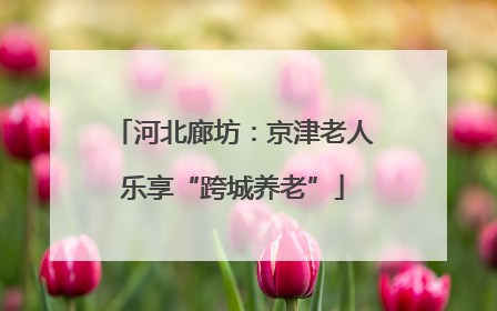 河北廊坊：京津老人乐享“跨城养老”