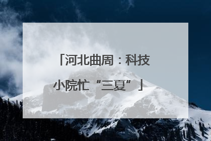 河北曲周：科技小院忙“三夏”