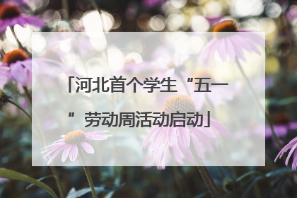 河北首个学生“五一”劳动周活动启动