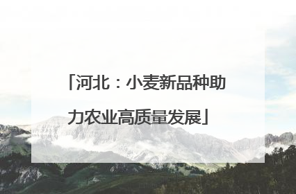河北：小麦新品种助力农业高质量发展