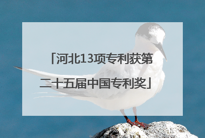 河北13项专利获第二十五届中国专利奖
