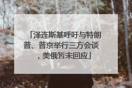泽连斯基呼吁与特朗普、普京举行三方会谈，美俄暂未回应