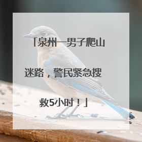 泉州一男子爬山迷路，警民紧急搜救5小时！