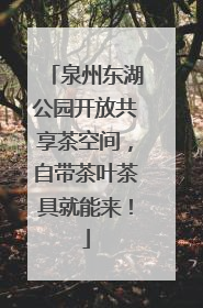 泉州东湖公园开放共享茶空间，自带茶叶茶具就能来！
