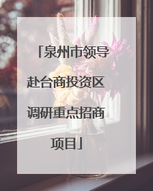 泉州市领导赴台商投资区调研重点招商项目
