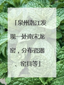 泉州洛江发现一处南宋龙窑，分布瓷器、窑具等