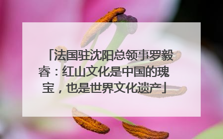 法国驻沈阳总领事罗毅睿：红山文化是中国的瑰宝，也是世界文化遗产