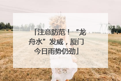 注意防范！“龙舟水”发威，厦门今日雨势仍劲