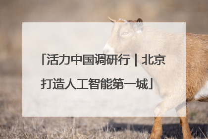 活力中国调研行｜北京打造人工智能第一城