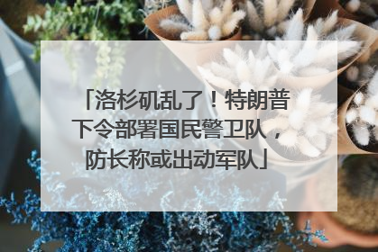 洛杉矶乱了！特朗普下令部署国民警卫队，防长称或出动军队