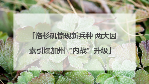 洛杉矶惊现新兵种 两大因素引爆加州“内战”升级