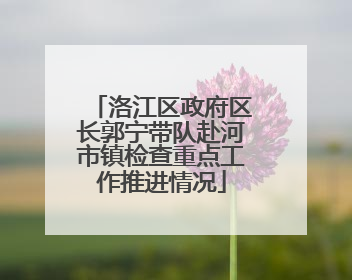 洛江区政府区长郭宁带队赴河市镇检查重点工作推进情况