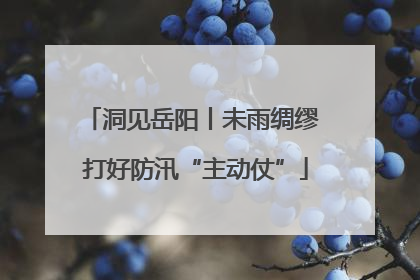 洞见岳阳丨未雨绸缪 打好防汛“主动仗”