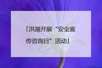 洪湖开展“安全宣传咨询日”活动