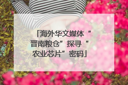 海外华文媒体“晋南粮仓”探寻“农业芯片”密码