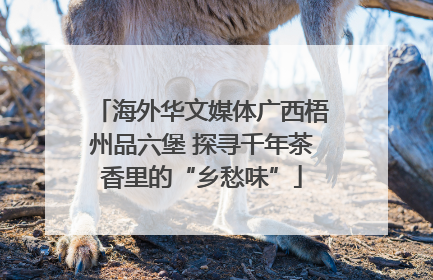 海外华文媒体广西梧州品六堡 探寻千年茶香里的“乡愁味”