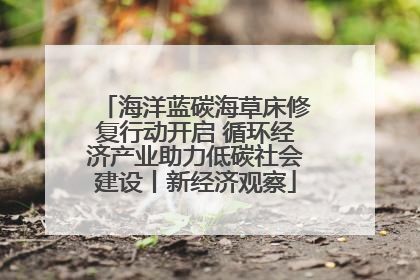 海洋蓝碳海草床修复行动开启 循环经济产业助力低碳社会建设丨新经济观察