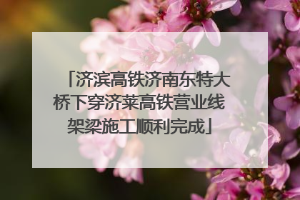 济滨高铁济南东特大桥下穿济莱高铁营业线架梁施工顺利完成