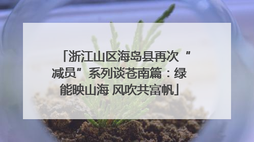浙江山区海岛县再次“减员”系列谈苍南篇：绿能映山海 风吹共富帆