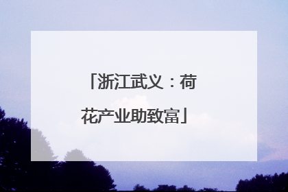 浙江武义：荷花产业助致富