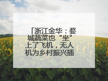 浙江金华：婺城蔬菜也“坐”上了飞机，无人机为乡村振兴插上“翅膀”