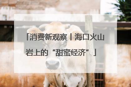 消费新观察丨海口火山岩上的“甜蜜经济”