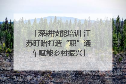 深耕技能培训 江苏盱眙打造“职”通车赋能乡村振兴