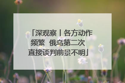 深观察丨各方动作频繁  俄乌第二次直接谈判前景不明