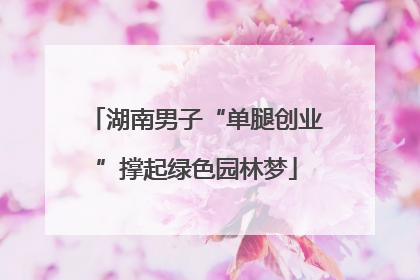 湖南男子“单腿创业”撑起绿色园林梦