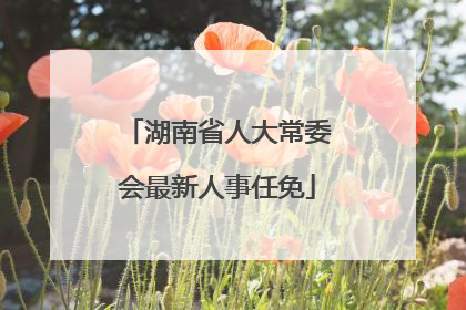 湖南省人大常委会最新人事任免