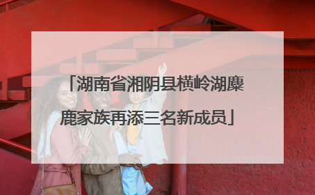 湖南省湘阴县横岭湖麋鹿家族再添三名新成员