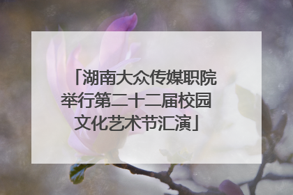 湖南大众传媒职院举行第二十二届校园文化艺术节汇演