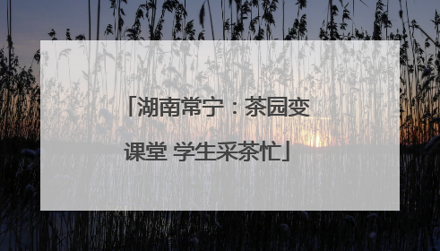 湖南常宁：茶园变课堂 学生采茶忙