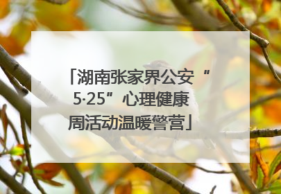 湖南张家界公安“5·25”心理健康周活动温暖警营