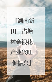 湖南新田三占塘村金银花产业兴旺促振兴