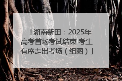 湖南新田：2025年高考首场考试结束 考生有序走出考场（组图）