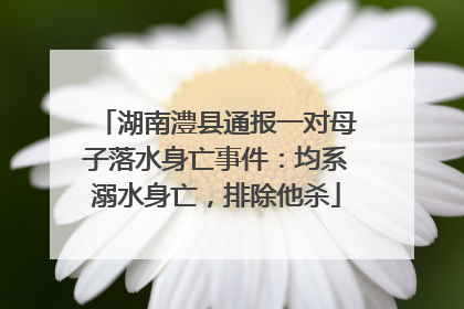 湖南澧县通报一对母子落水身亡事件：均系溺水身亡，排除他杀