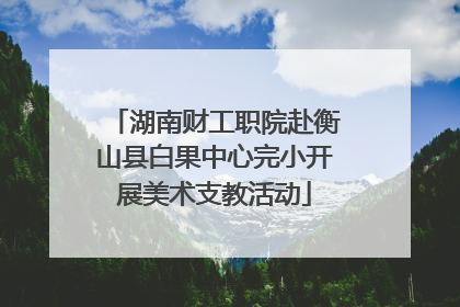 湖南财工职院赴衡山县白果中心完小开展美术支教活动
