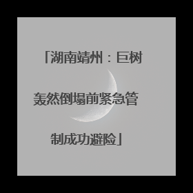 湖南靖州：巨树轰然倒塌前紧急管制成功避险