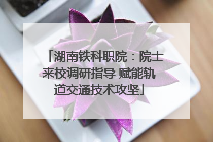 湖南铁科职院：院士来校调研指导 赋能轨道交通技术攻坚