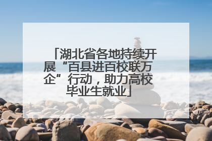 湖北省各地持续开展“百县进百校联万企”行动，助力高校毕业生就业