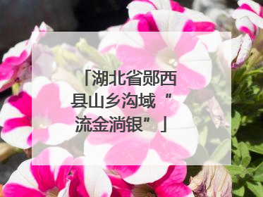 湖北省郧西县山乡沟域“流金淌银”